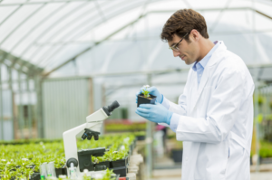 Read more about the article Master of Science in Agriculture (Agricultural Biotechnology)