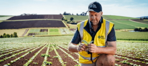 Read more about the article Master of Science in Agriculture (Agricultural Business)